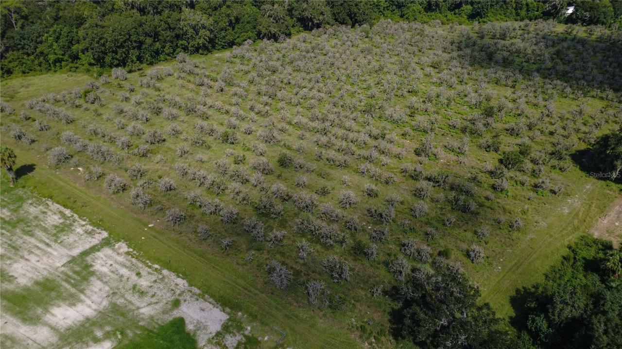 Holly Hammock Rd., De Leon Springs, FL 32130