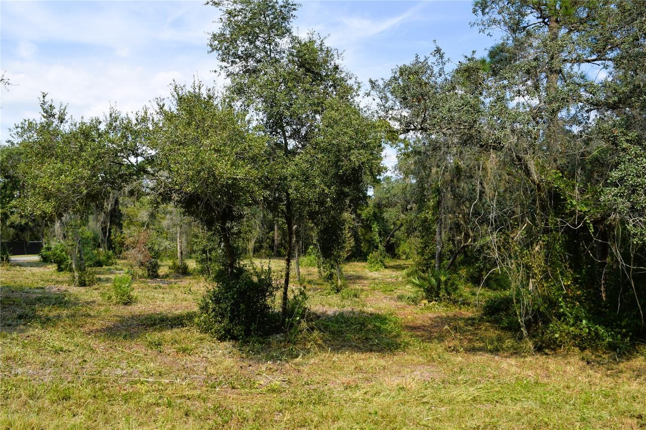 625 Lake Butler Ave., Osteen, FL 32764