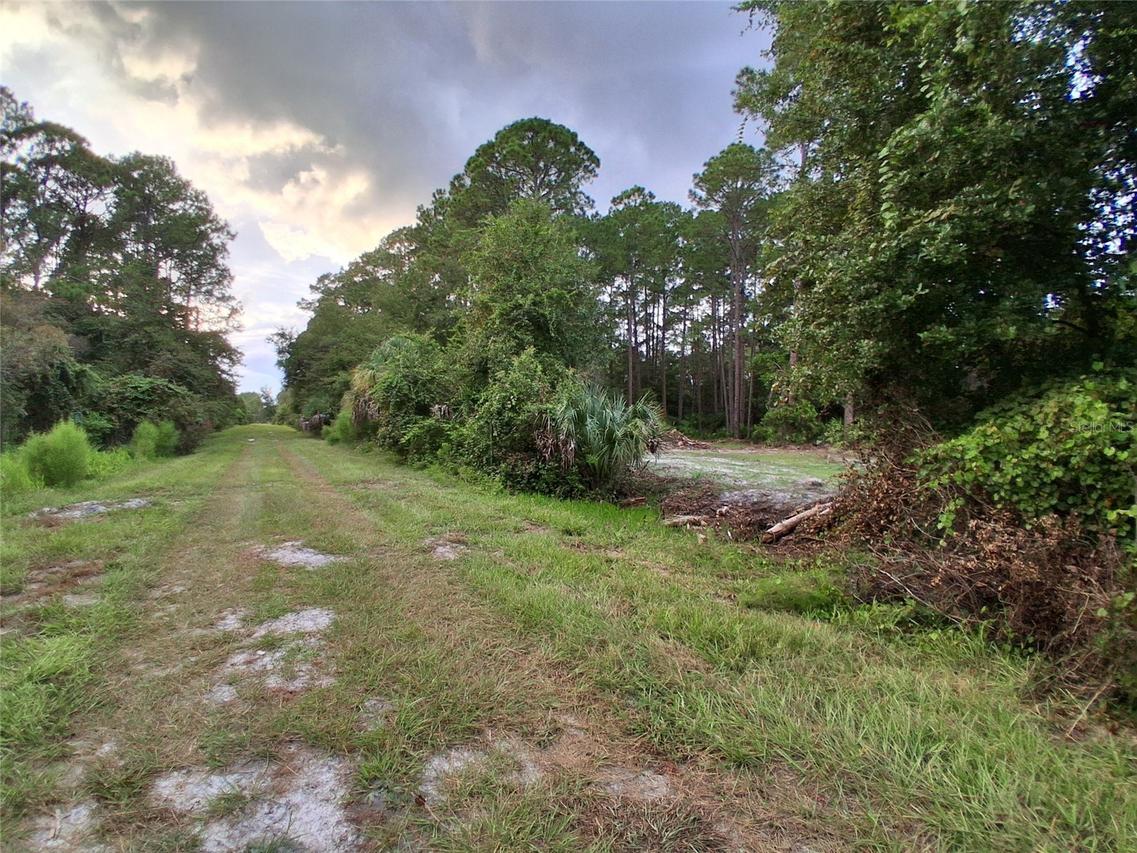 334 Redwood Blvd., Georgetown, FL 32139