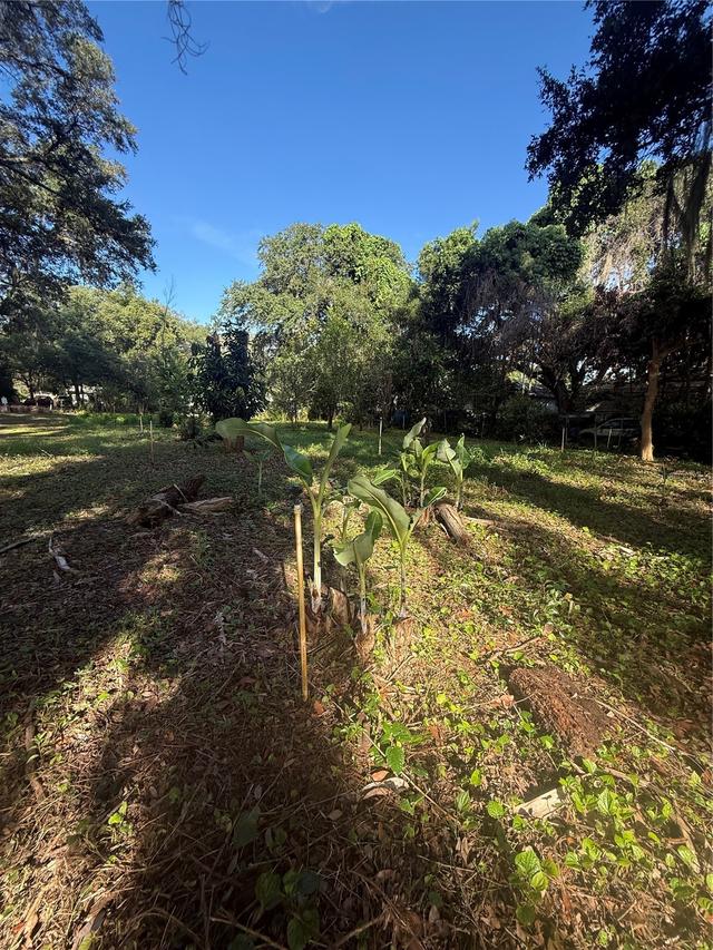 Orange Ave., Sanford, FL 32773