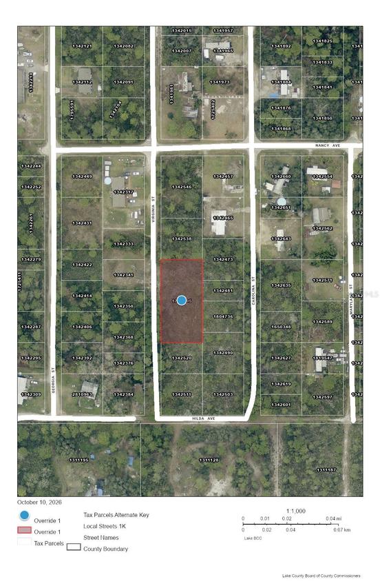 Virginia St., Paisley, FL 32767