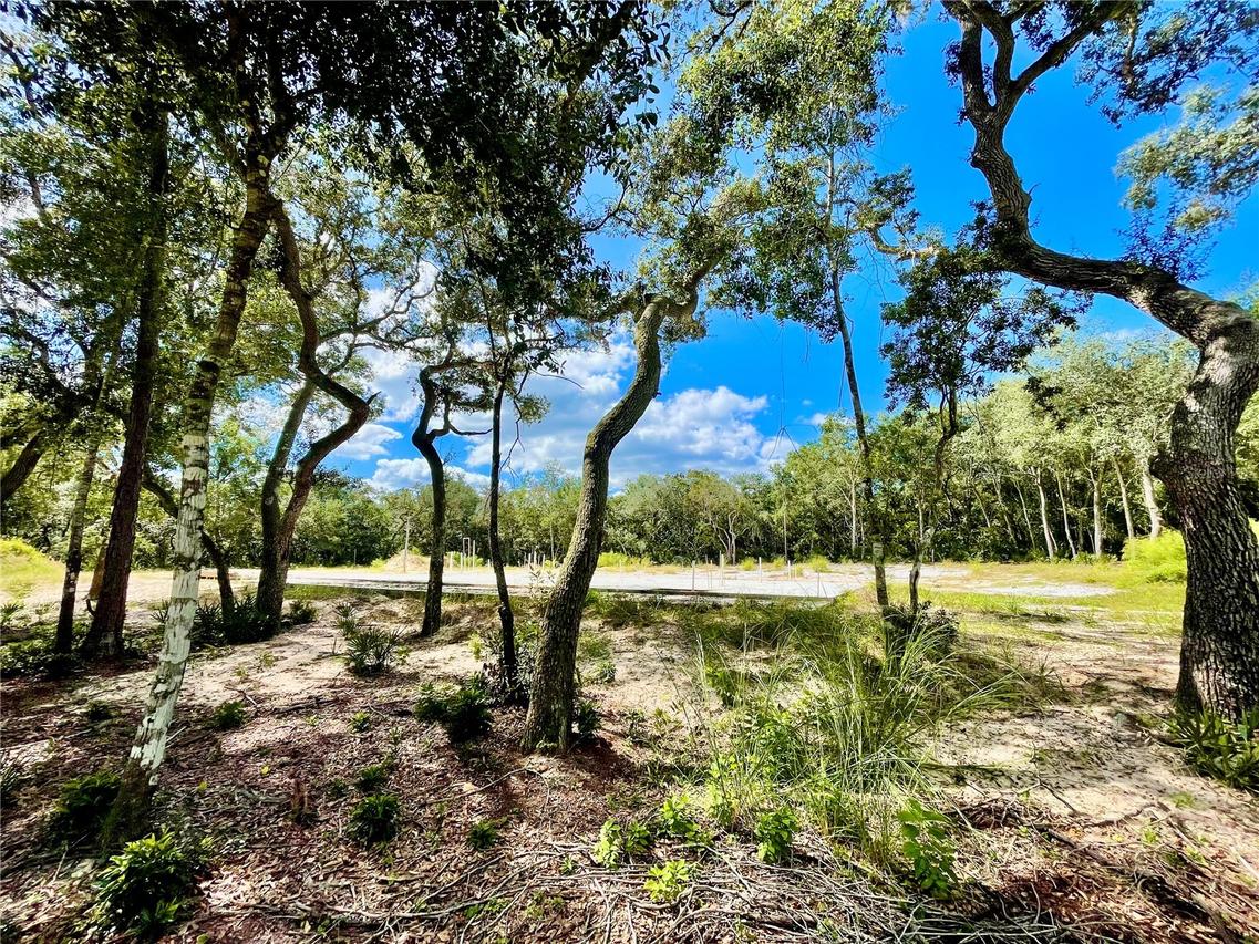 47125 East Ave., Paisley, FL 32767