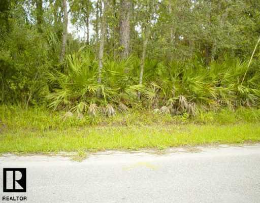 Cardy St., Hudson, FL 34669