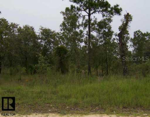 13125 Osprey Ave., Other, FL