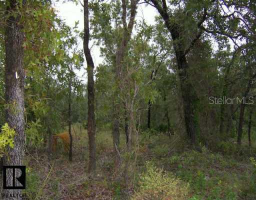 11056 Labrador Duck Rd., Other, FL