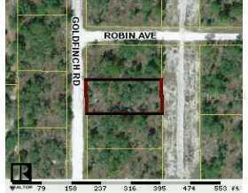 14124 Goldfinch Ave., Brooksville, FL 34613
