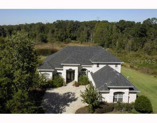17134 Turning Oaks Bend, Lutz, FL 33549