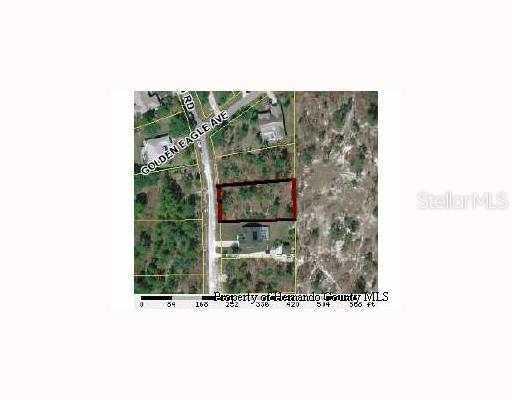 9164 Bunting Rd., Weeki Wachee, FL 34613