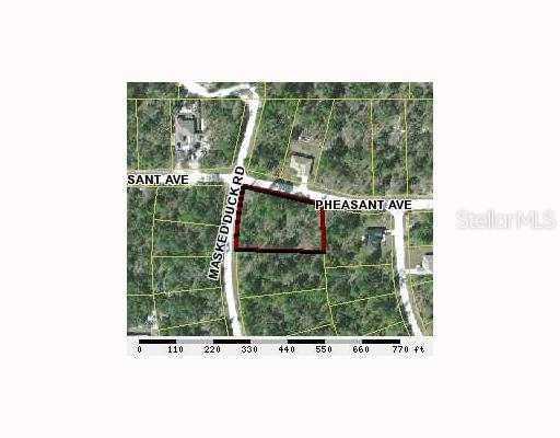 11208 Pheasant Ave., Brooksville, FL 34613