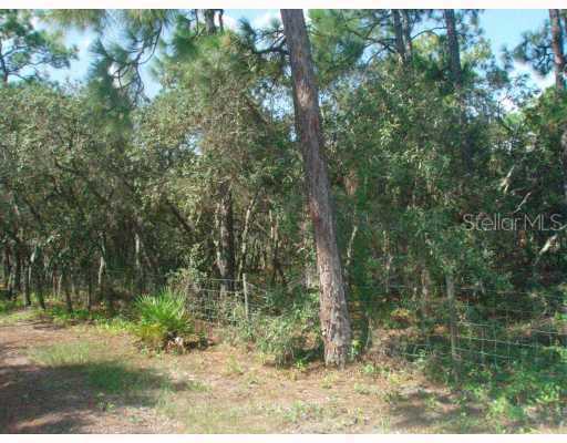 Orwell Rd., Hudson, FL 34667