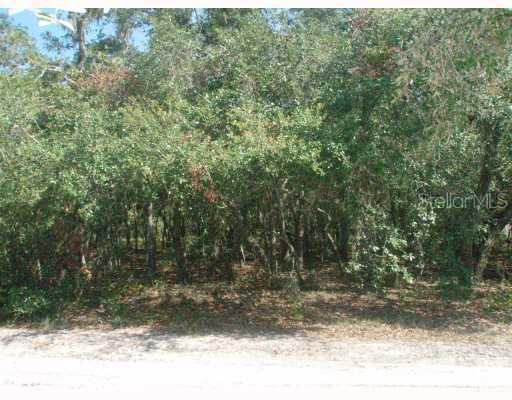 Orwell Rd., Hudson, FL 34667