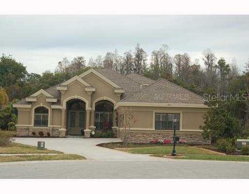 1423 Aristides Ct., Odessa, FL 33556