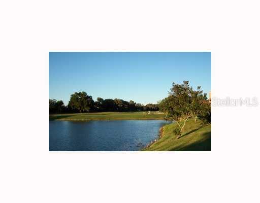 10309 Altrara Way, Trinity, FL 34655