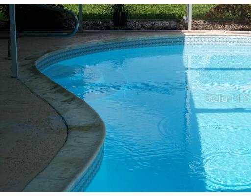 3116 Domino Dr., Holiday, FL 34691