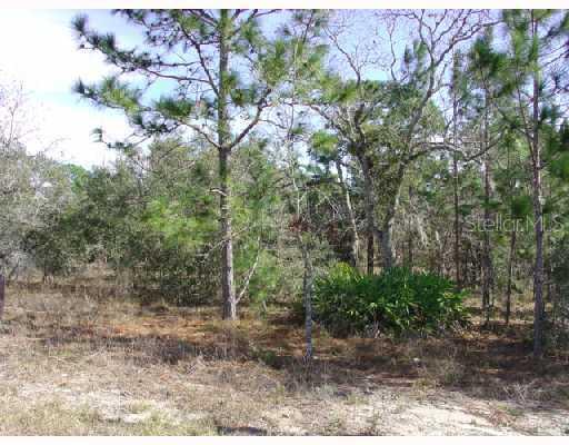 Sand Pine Dr., Spring Hill, FL 34610