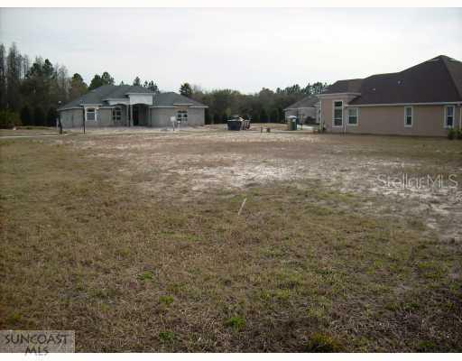 15421 Black Gold Loop, Odessa, FL 33556
