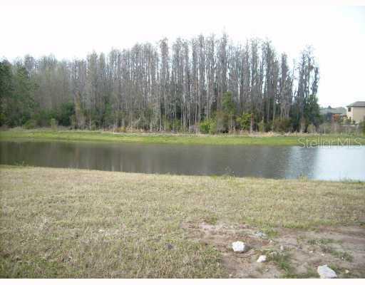 15019 Man O War Dr., Odessa, FL 33556