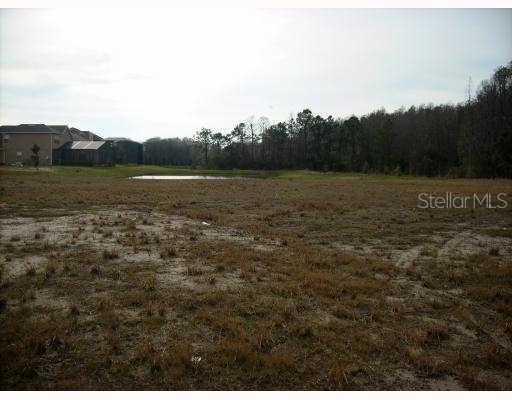 1537 Abyss Dr., Odessa, FL 33556