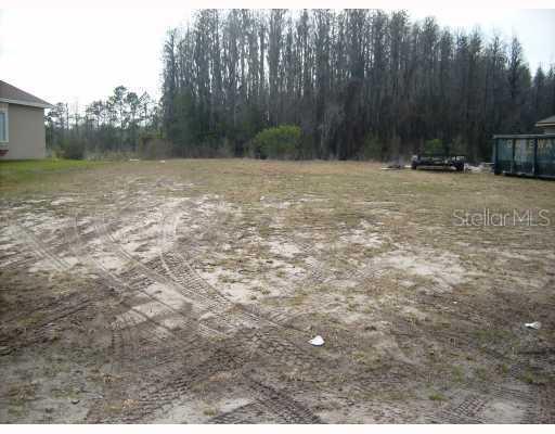 1607 Abyss Dr., Odessa, FL 33556