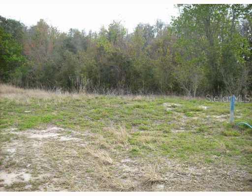 15300 Azra Dr., Odessa, FL 33556