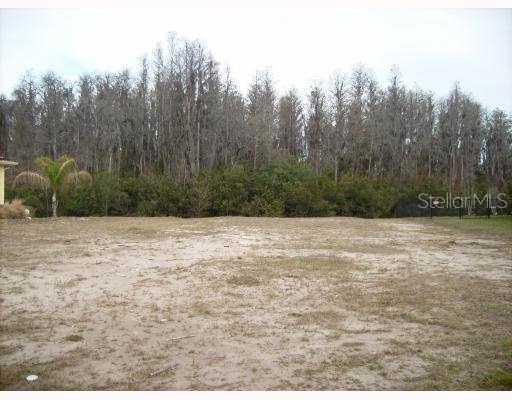 14834 Man O War Dr., Odessa, FL 33556