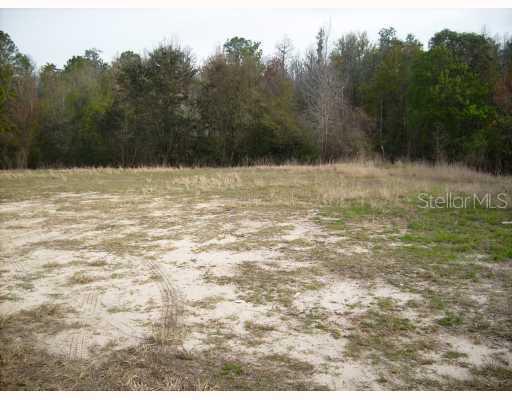 14930 Man O War Dr., Odessa, FL 33556