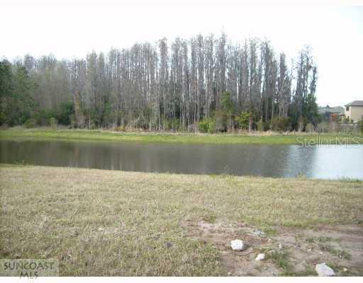 14921 Man O War Dr., Odessa, FL 33556