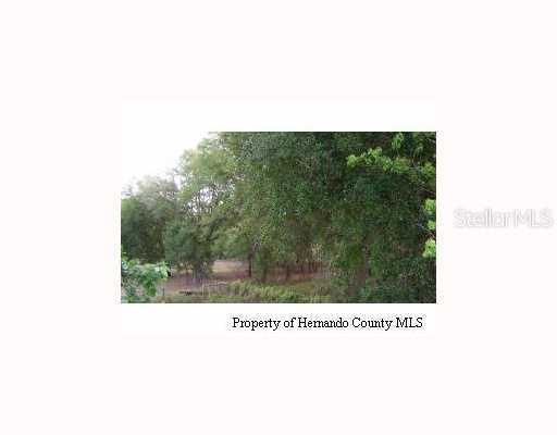 5 Mondon Hill Rd., Brooksville, FL 34601