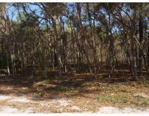 Orwell Rd., Hudson, FL 34667