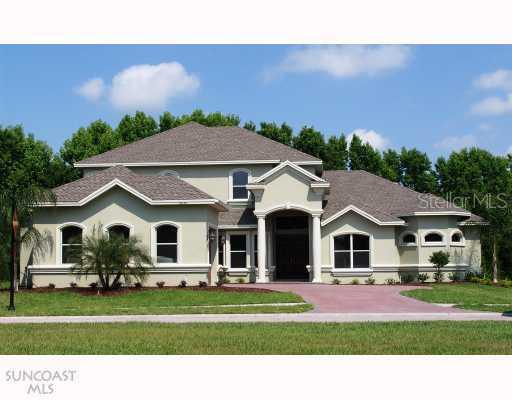14839 Man O War Dr., Odessa, FL 33556