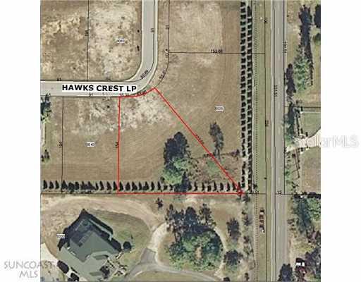 15652 Hawks Crest Loop, Odessa, FL 33556