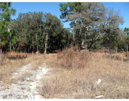 12005 Peaceful Ave., Spring Hill, FL 34615