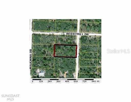 7007 Norway Street St., Brooksville, FL 33597