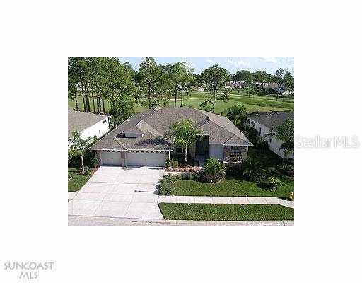 18138 Nestlebranch Ct., Hudson, FL 34667
