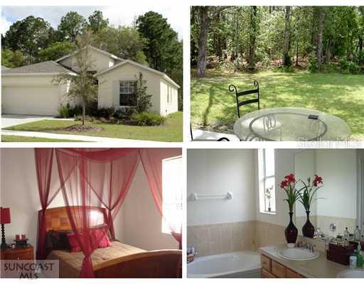 12924 Turnstone Ct., Hudson, FL 34669