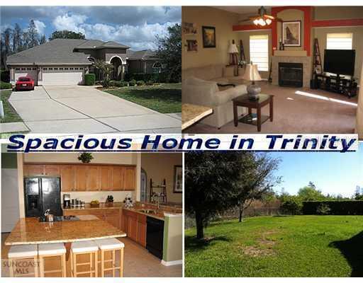 2228 Edelweiss Loop, Trinity, FL 34655