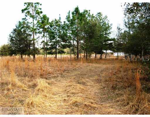 3040 Endsley Rd., Brooksville, FL 34604
