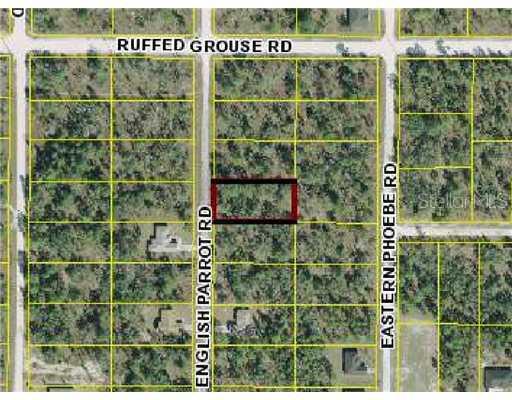 13472 English Parrot Rd., Weeki Wachee, FL 34614