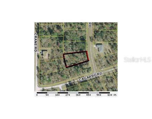 Cayman, Brooksville, FL 34613