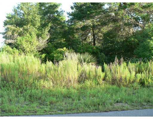 Oriana Dr., Spring Hill, FL 34609