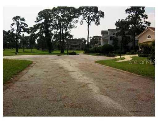 Otter Ct., Tarpon Springs, FL 34689