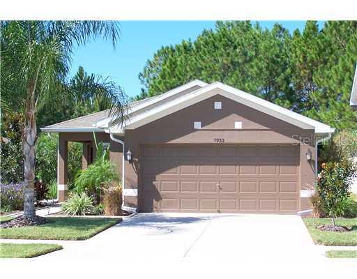 7933 Foxgrove Dr., Land O Lakes, FL 34637
