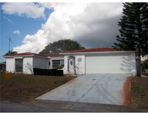 9816 Lake Chrise Ln., Port Richey, FL 34668