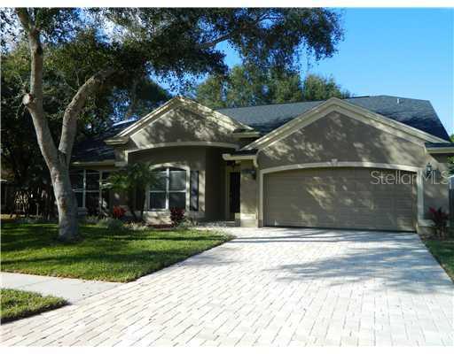 6515 Appaloosa Drive, Tampa, FL 33625