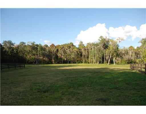 [Address Hidden by Seller], New Port Richey, FL 34652