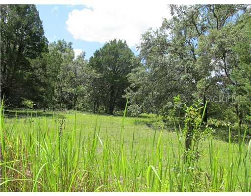 14359 Scrub Oak Ln., Brooksville, FL 34613