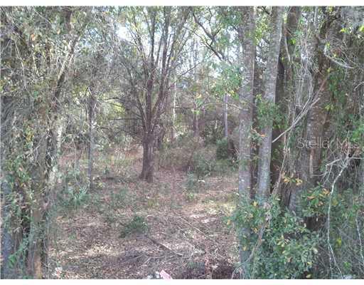 [Address Hidden by Seller], New Port Richey, FL 34652