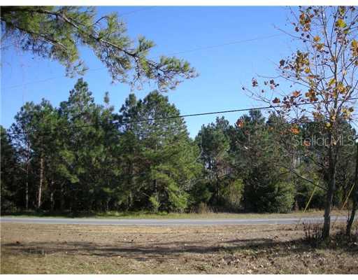 Old Pasco Rd, Wesley Chapel, FL 33544