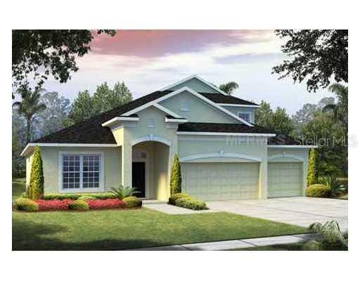 4219 Wildstar Cir., Wesley Chapel, FL 33544