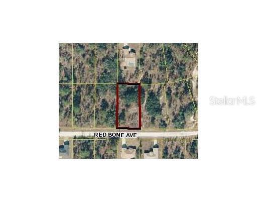 13209 Red Bone Ave., Brooksville, FL 34614